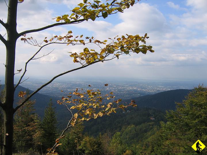 foto 068.jpg - Jesień wszechobecna. Magia kolorów.